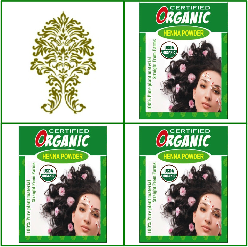 3 Boxes USDA Certified Organic Henna Hair Color 100g Each