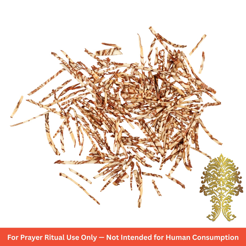 KLG Spice Plain Salli Supari — Medium Cut Betel Nuts 100g