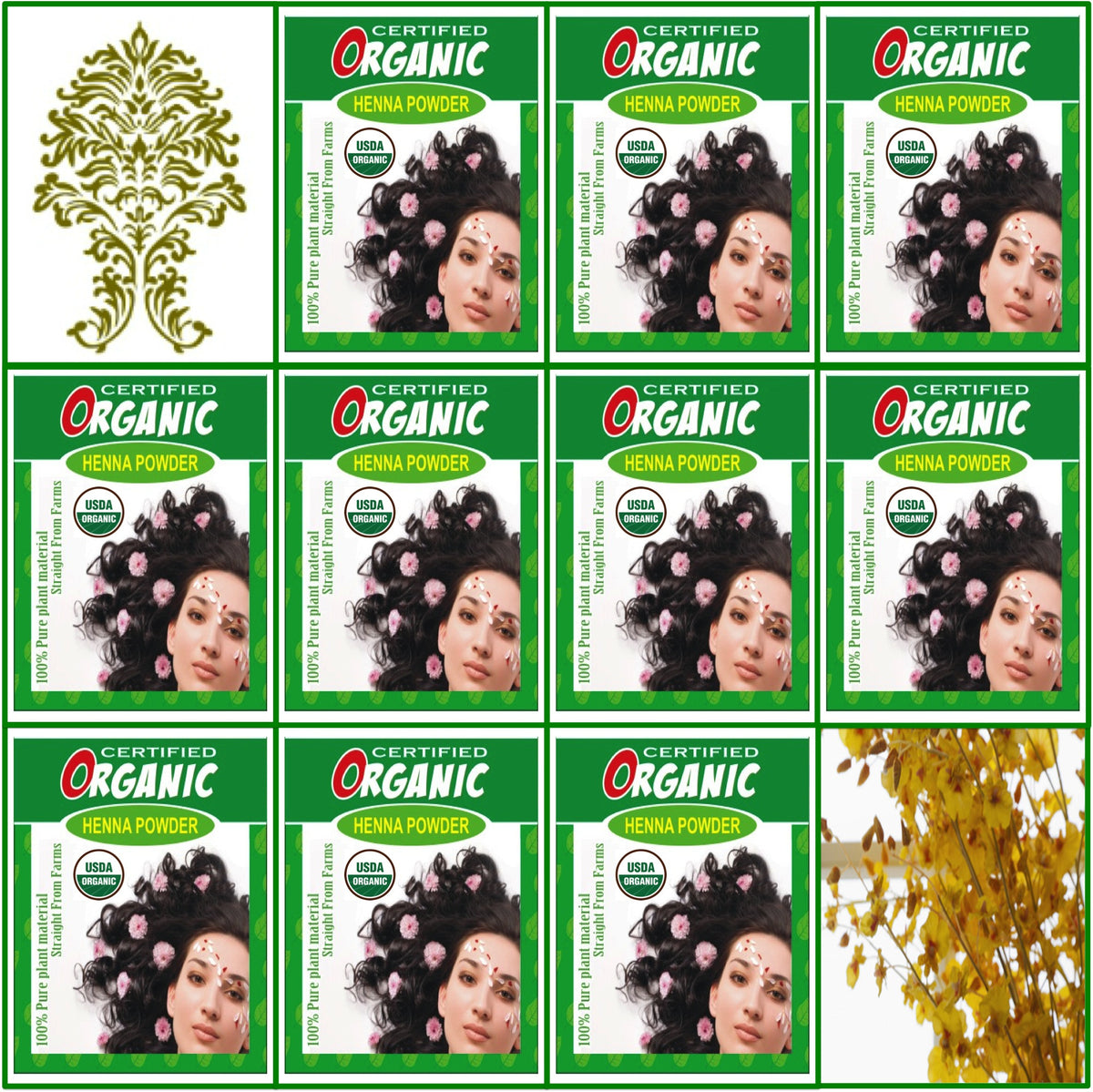 10 Boxes USDA Certified Organic Henna Hair Color 100g Each