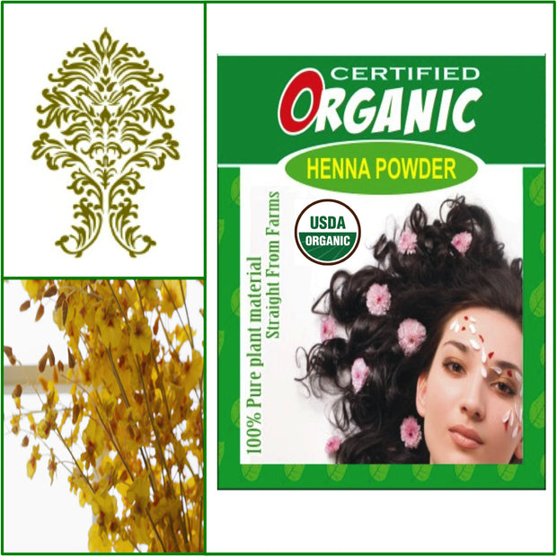 ONE Box USDA Certified Organic Henna Hair Color 100g